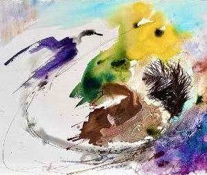 Летот на канаринецот