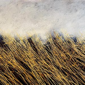 Будење на светлината