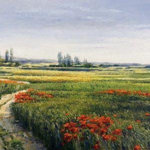 Јунски ден